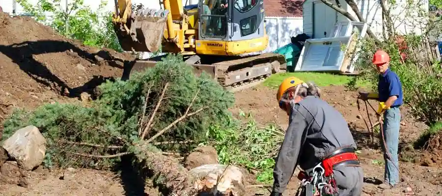Essouchage à Laval – enlèvement de souches Belles Saisons